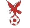 https://img.denguang.com/img/football/team/4802d26df935b78bb2fcdbbff36e8864.png