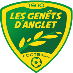 https://img.denguang.com/img/football/team/4969daf3c70d9192449cc756bccf67e3.png