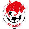 https://img.denguang.com/img/football/team/b201265fa89720bf8cd8ef95549a4738.png